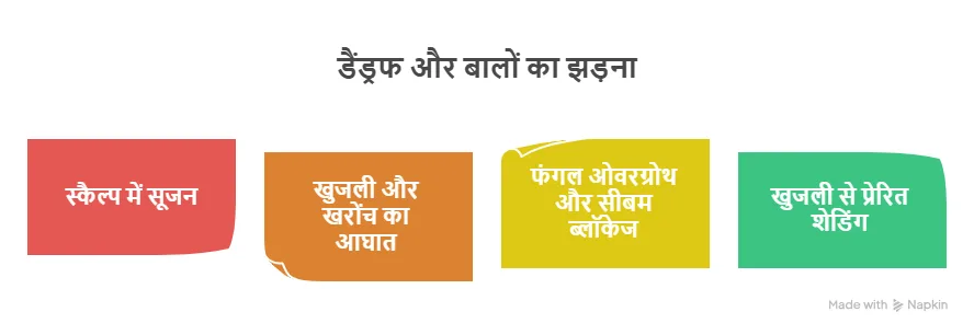 Common Dermatology Terms Explained A Simple Guide for Lucknow Patients